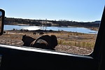 photo thumbnail #15