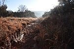 photo thumbnail #2