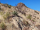 2023-12-21 :2: Tortilla Mountain - Superstition Wilderness :: DixieFlyer