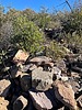 photo thumbnail #11