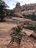 photo thumbnail #2