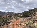 photo thumbnail #5