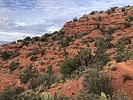 photo thumbnail #9