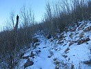 photo thumbnail #11