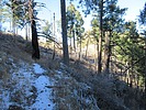 photo thumbnail #6