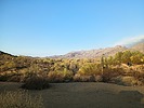 photo thumbnail #1