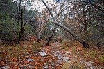 photo thumbnail #6