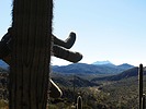 photo thumbnail #8