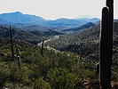 photo thumbnail #9