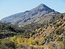 2023-12-25 :3: Trail 1533 Loop TNF :: LosDosSloFolks