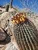 photo thumbnail #14