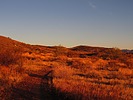 photo thumbnail #8