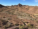 2023-12-26 :1: Signal Mountain Wilderness wander :: WildForAZ