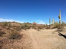 photo thumbnail #1