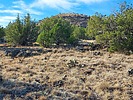 photo thumbnail #6