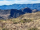2023-12-27 :3: Hackberry Mountain - CNF :: DixieFlyer