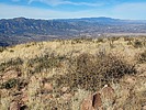 2023-12-27 :3: Hackberry Mountain - CNF :: DixieFlyer