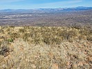2023-12-27 :3: Hackberry Mountain - CNF :: DixieFlyer