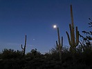 photo thumbnail #13
