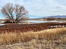photo thumbnail #9