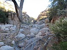 photo thumbnail #1