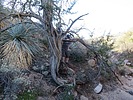 photo thumbnail #6