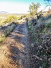 photo thumbnail #5