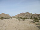 photo thumbnail #3