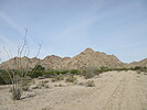 photo thumbnail #4