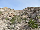 photo thumbnail #7