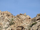 photo thumbnail #11