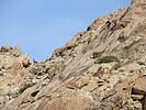 photo thumbnail #12