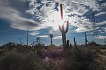 photo thumbnail #1