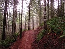 photo thumbnail #9