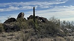 photo thumbnail #5