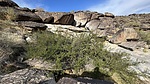 photo thumbnail #14