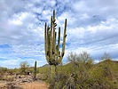 photo thumbnail #15