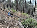 photo thumbnail #6