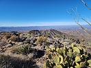 photo thumbnail #4