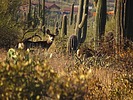 photo thumbnail #7