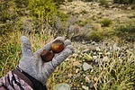 photo thumbnail #6