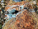 photo thumbnail #9