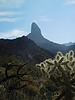 photo thumbnail #13