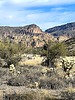 2024-01-06 :1: Cholla Tank :: ScottHika