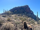 photo thumbnail #4