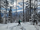 photo thumbnail #3