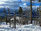 photo thumbnail #11
