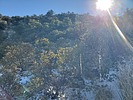photo thumbnail #15