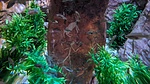 photo thumbnail #14