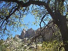 photo thumbnail #15